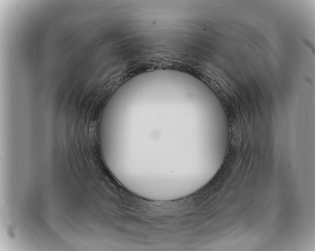 X0000091530034200708170958