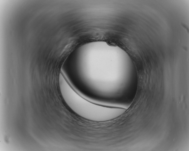 X0000091530035200708170958