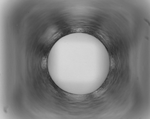 X0000091530036200708170958