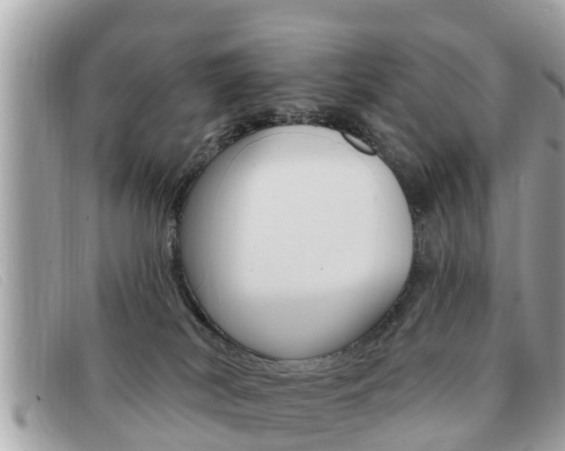 X0000091530038200708170958