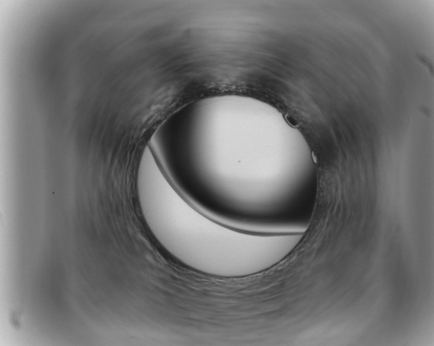 X0000091530039200708170958