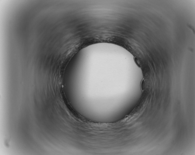 X0000091530040200708170958