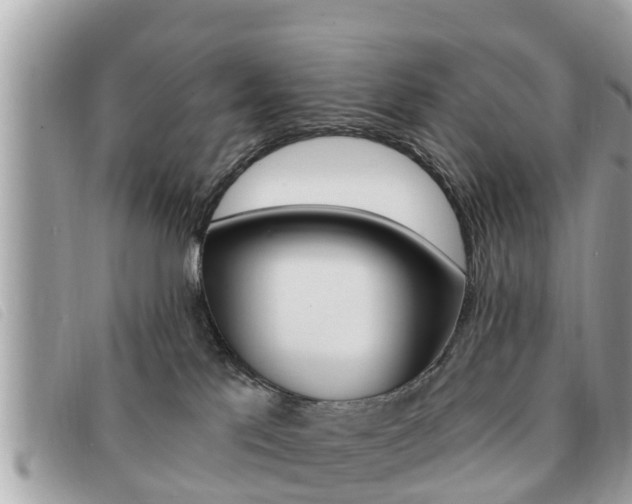 X0000091530041200708170958