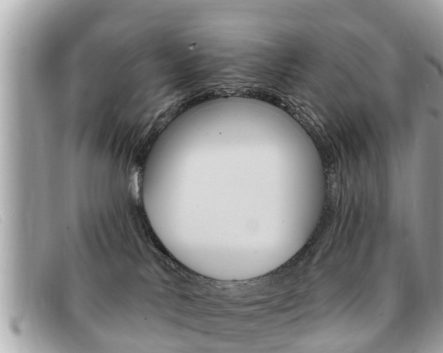 X0000091530042200708170958