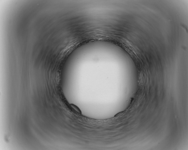 X0000091530043200708170958