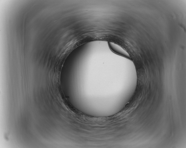 X0000091530044200708170958