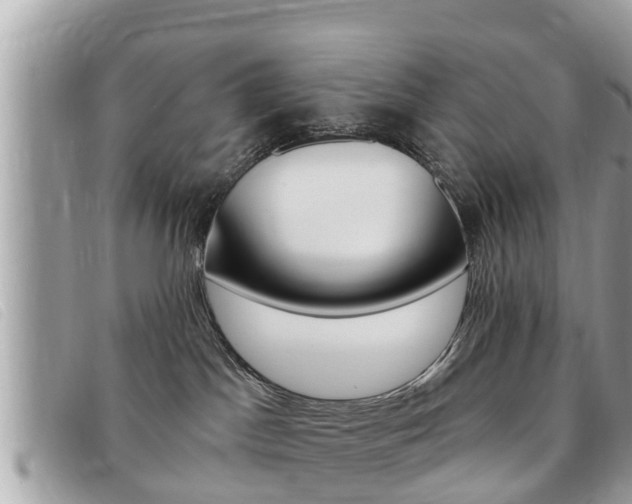 X0000091530045200708170958