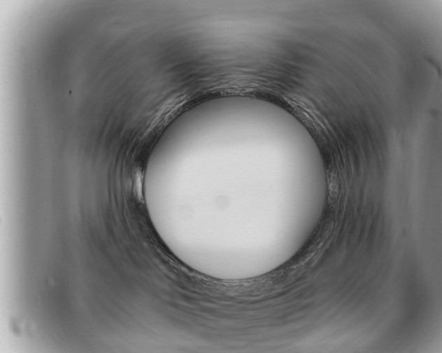 X0000091530046200708170958
