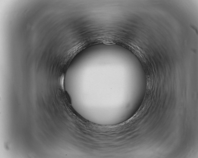 X0000091530047200708170958