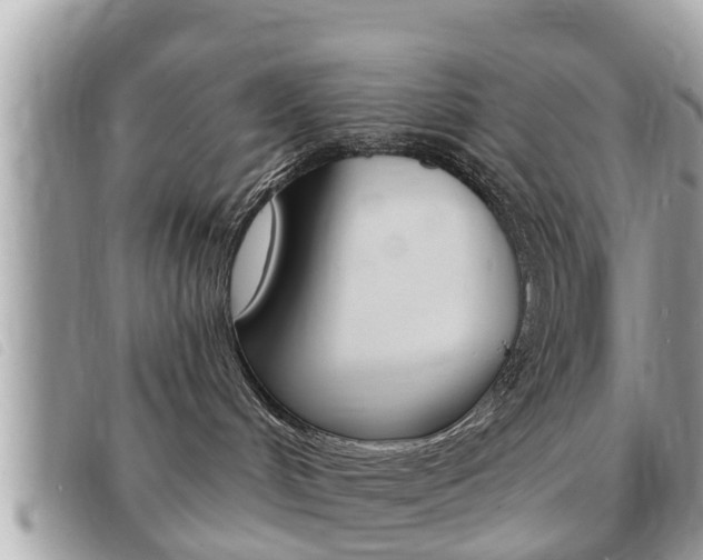 X0000091530048200708170958