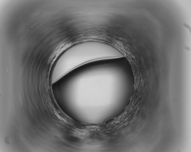 X0000091530050200708170958