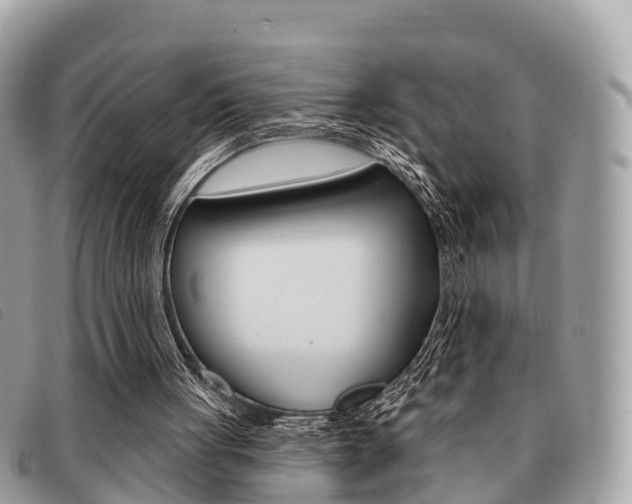 X0000091530051200708170958