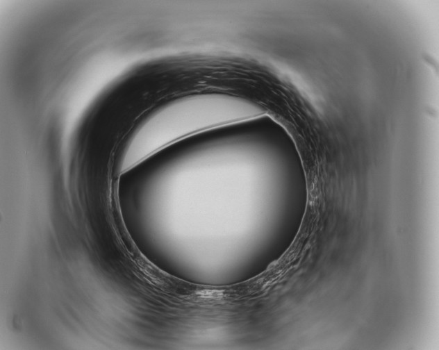 X0000091530052200708170958