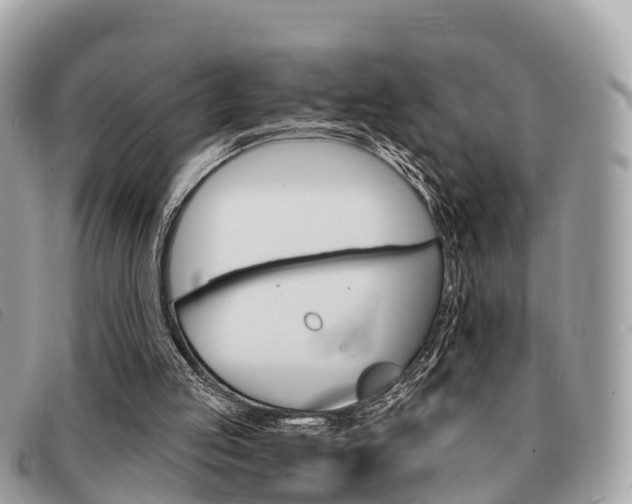 X0000091530053200708170958