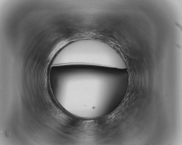 X0000091530054200708170958
