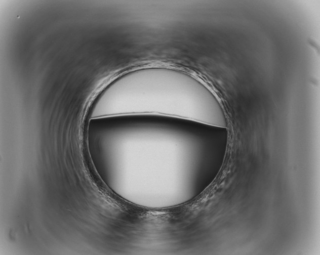 X0000091530055200708170958