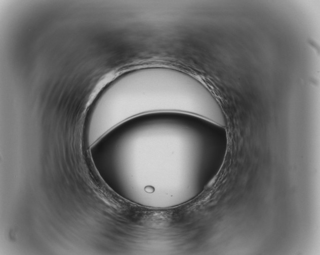 X0000091530056200708170958