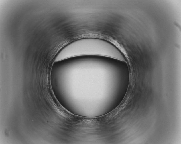 X0000091530057200708170958