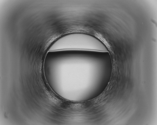 X0000091530058200708170958