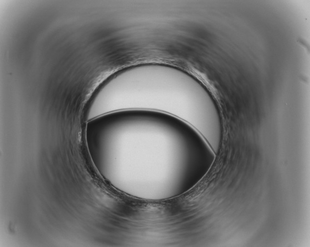 X0000091530060200708170958