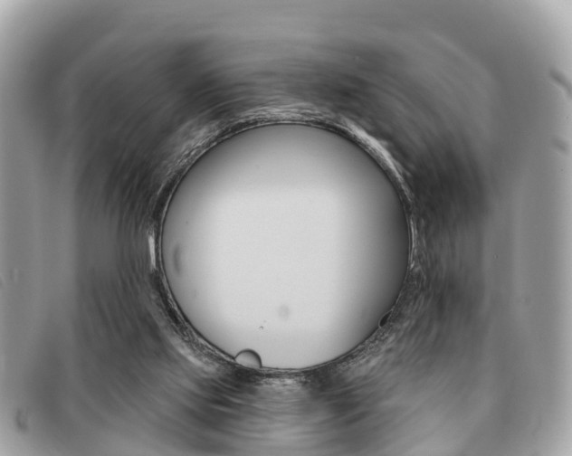X0000091530061200708170958