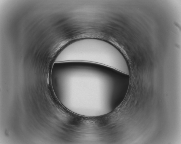 X0000091530062200708170958
