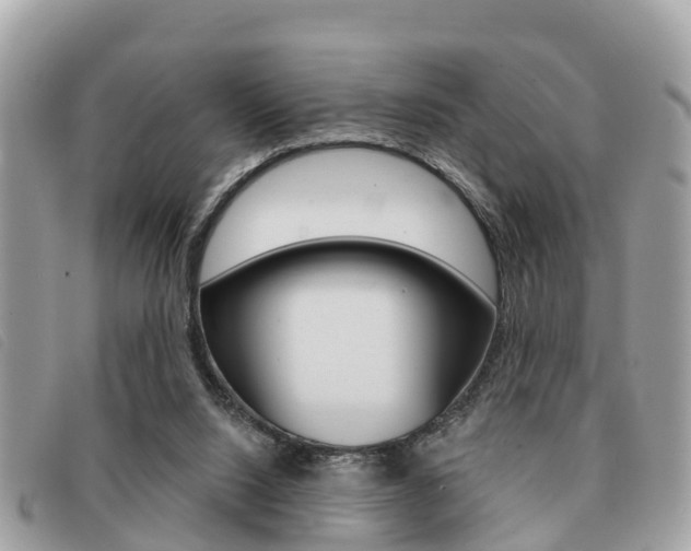 X0000091530064200708170958