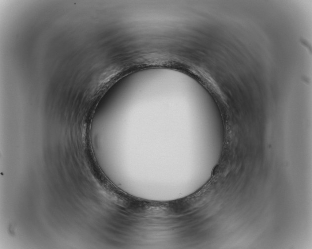 X0000091530066200708170958