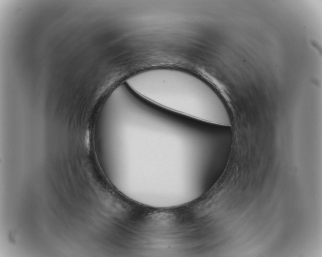X0000091530067200708170958