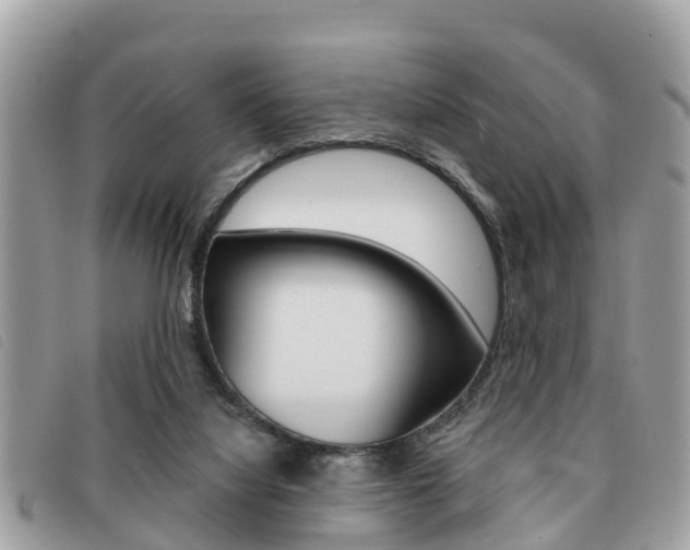 X0000091530068200708170958