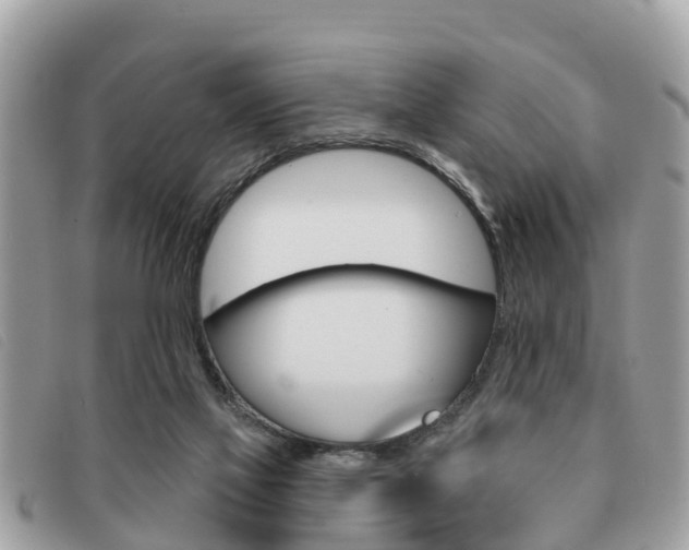 X0000091530069200708170958