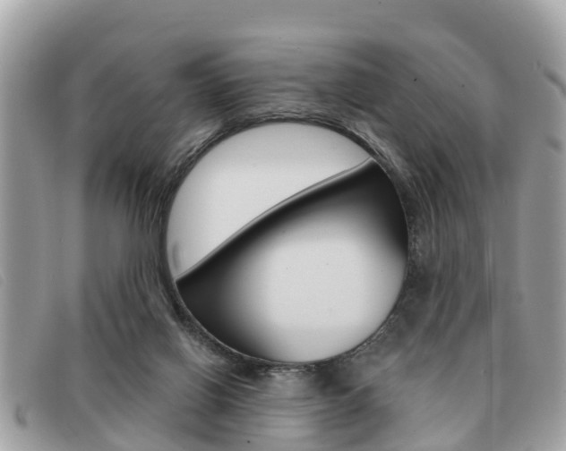 X0000091530070200708170958