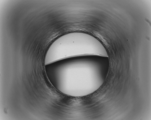 X0000091530071200708170958