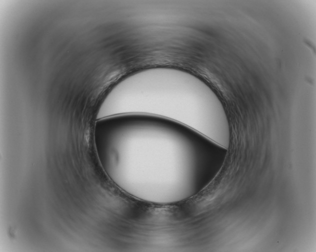X0000091530072200708170958