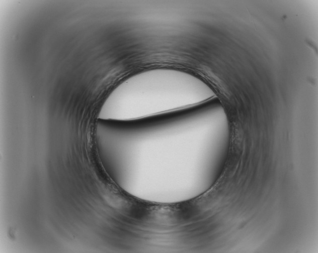 X0000091530074200708170958