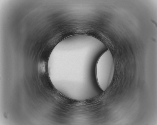 X0000091530075200708170958