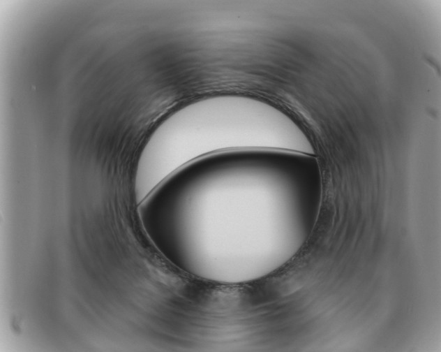 X0000091530076200708170958