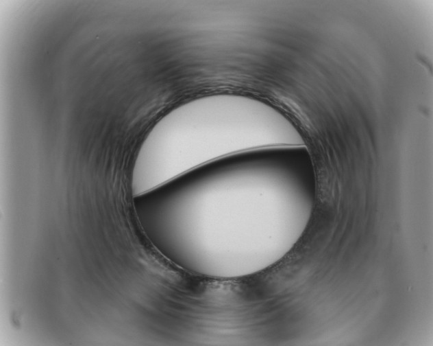 X0000091530077200708170958