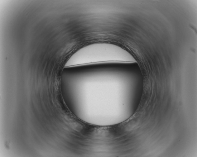 X0000091530078200708170958