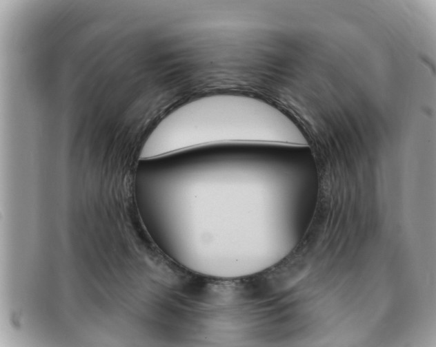 X0000091530079200708170958