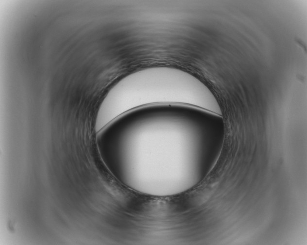 X0000091530080200708170958