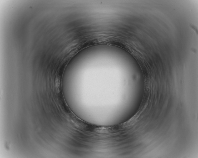 X0000091530082200708170958