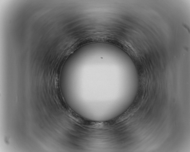 X0000091530083200708170958