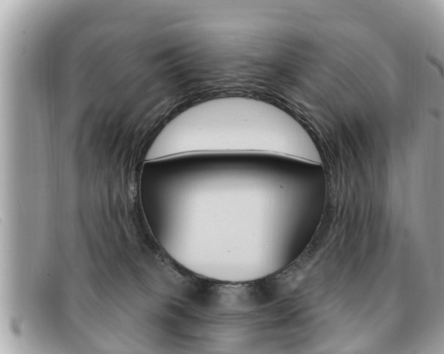 X0000091530085200708170958