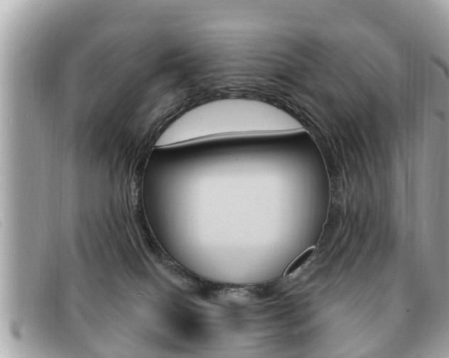 X0000091530086200708170958