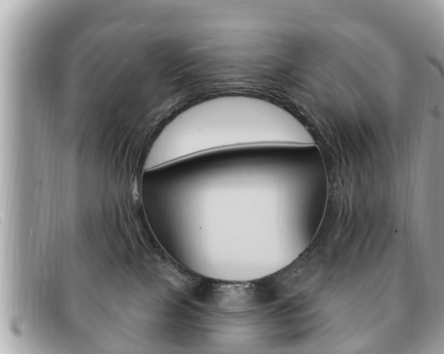X0000091530089200708170958
