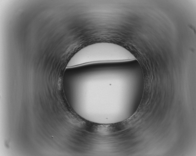 X0000091530090200708170958