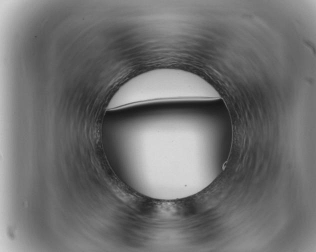 X0000091530091200708170958