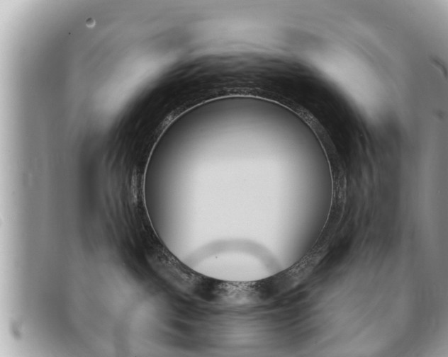 X0000091530093200708170958