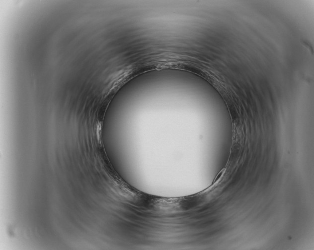 X0000091530094200708170958